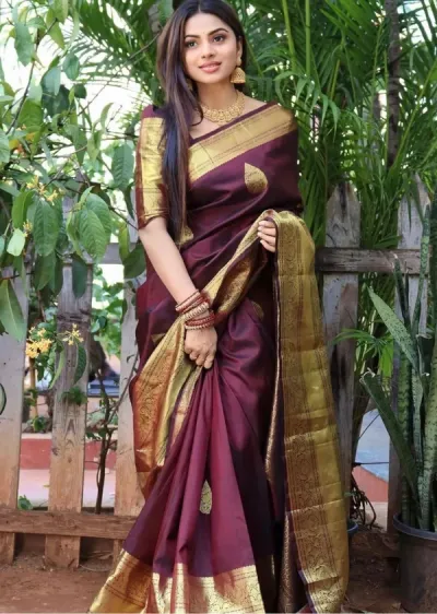 Wine Maroon Banarasi Silk Saree with Gold Motifs