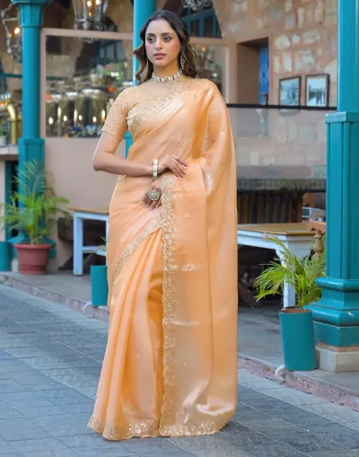 Peach Shimmer Tissue Saree